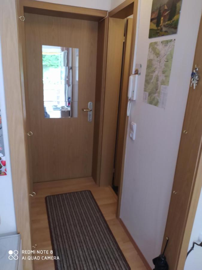 Tiny Flat Baiersbronn Apartment ภายนอก รูปภาพ